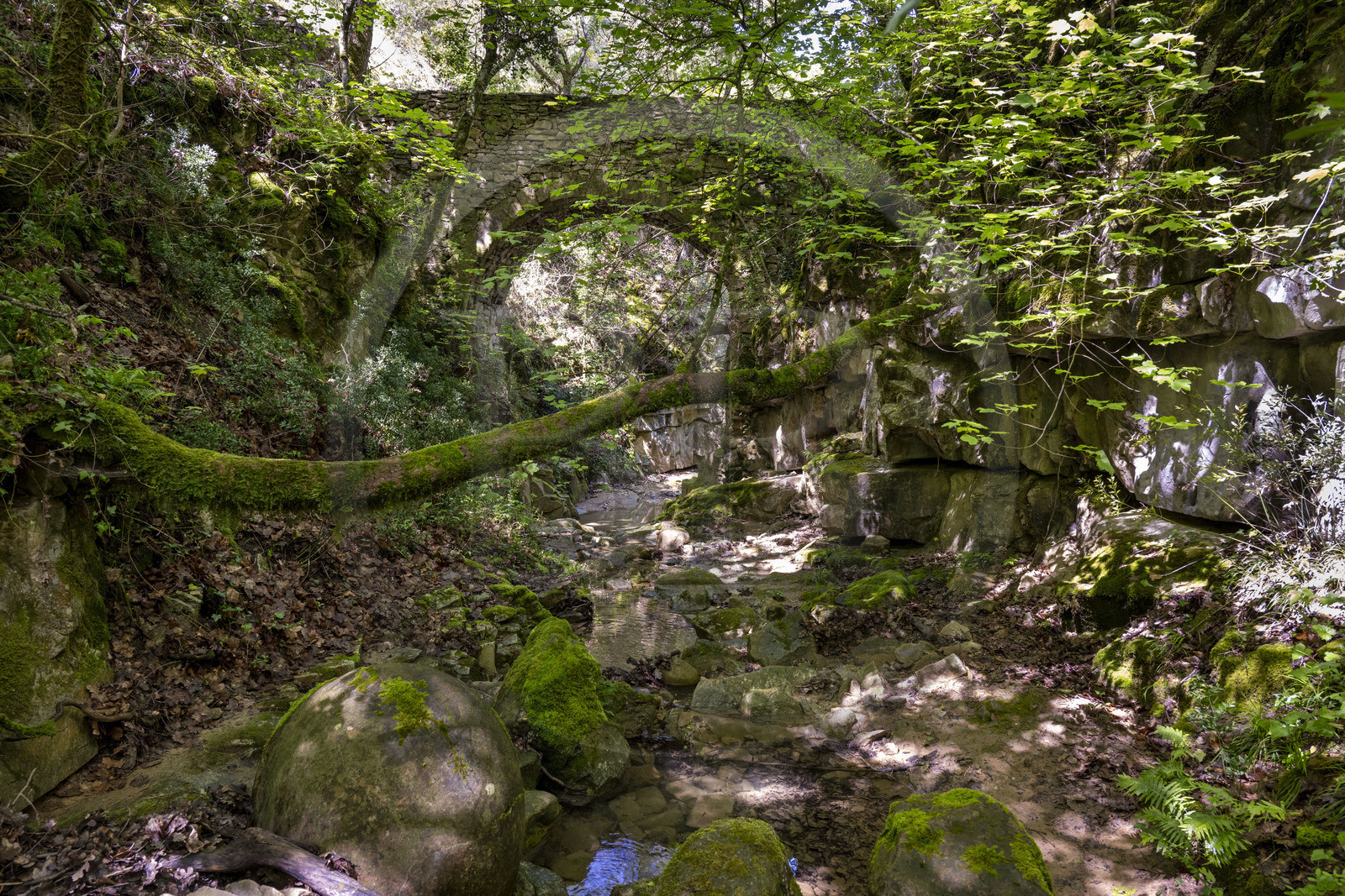 France, Vaucluse (84), Dentelles de Montmirail, Sablet, la rivière le Trignon surplombé par l'ancien pont de l'abbaye en ruine de moniales du VIIe siècle dans le vallon de Prébayon