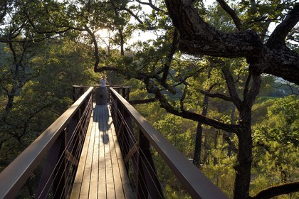 France, Bouches-du-Rhône (13),  Le Puy Sainte Réparade, Chateau La Coste domaine viticole et centre d'art contemporain, Self-portrait: Cat inside a Barrel par l'artiste Tracey Emin (Mention Obligatoire)