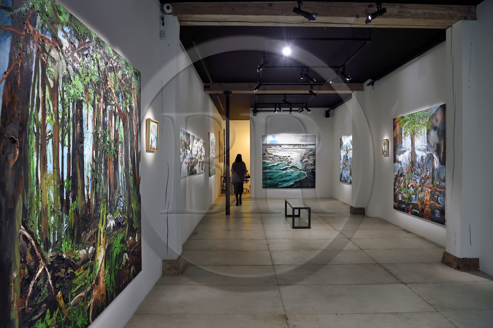 France, Paris (75), exposition Germination de l'artiste Fred Kleinberg à la galerie Loo & Lou Haut-Marais