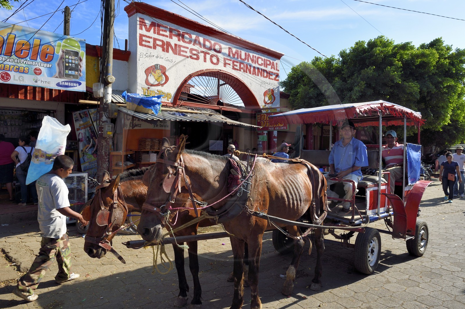 Nicaragua, Masaya, horse carriage taxi in front of the Mercado Municipal Ernesto Fernandez market