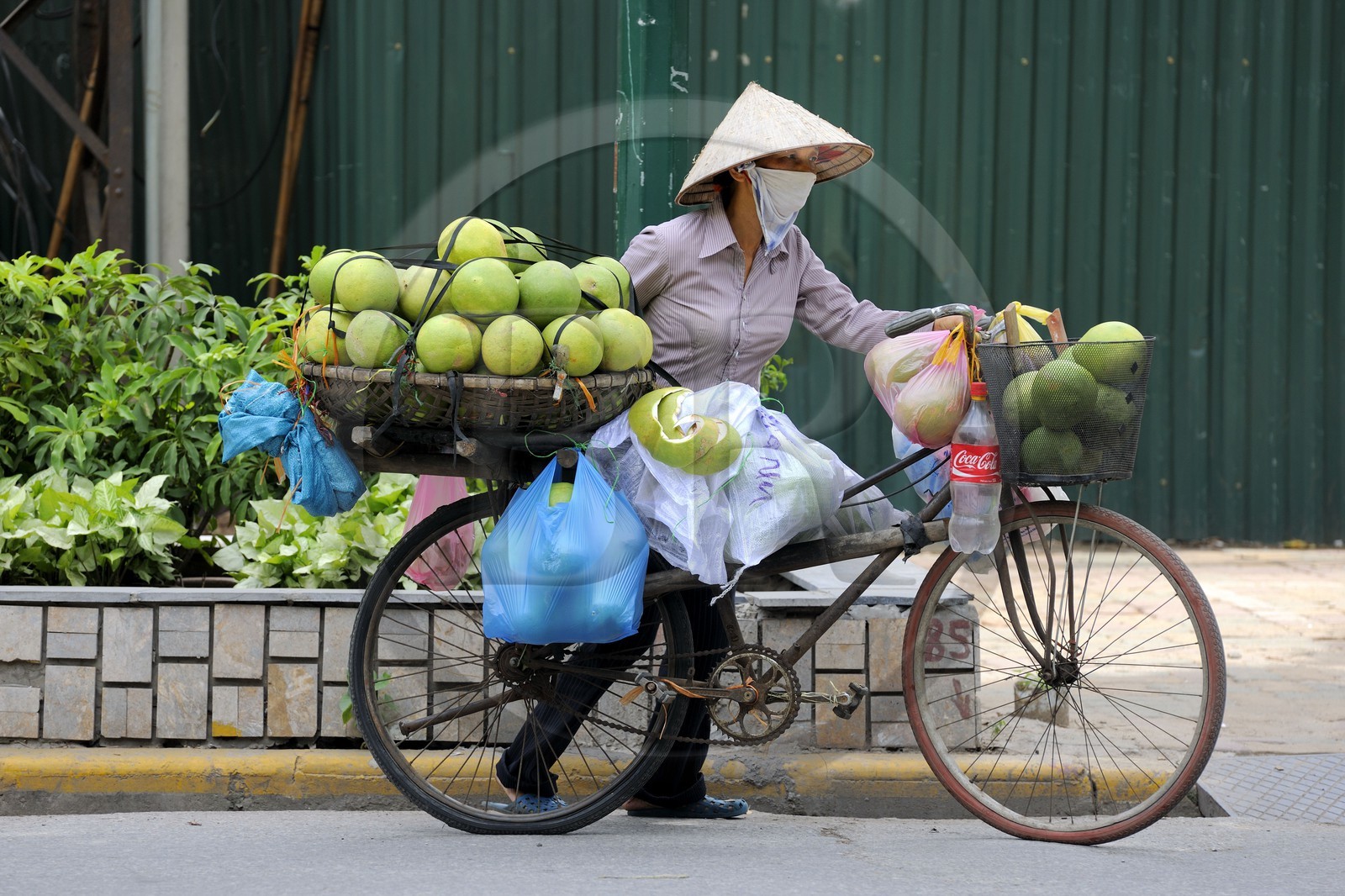 Vietnam, Hanoï, vieille ville, marchande de fruits à vélo