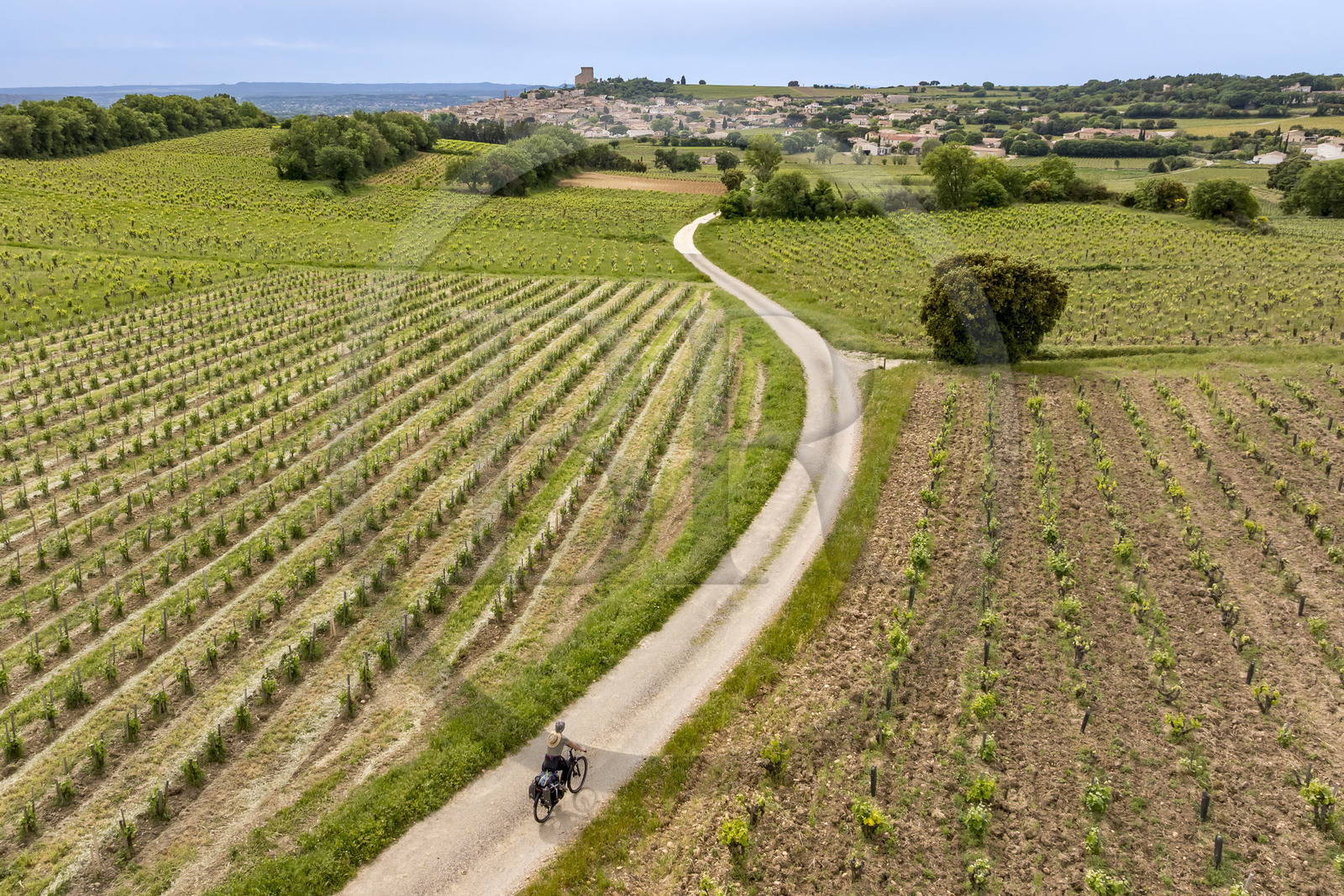 France, Vaucluse (84), Châteauneuf-du-Pape, randonnée à vélo sur le chemin Coste Froide sur le plateau de la Crau et le donjon de Châteauneuf-du-Pape en arrière plan (vue aérienne)