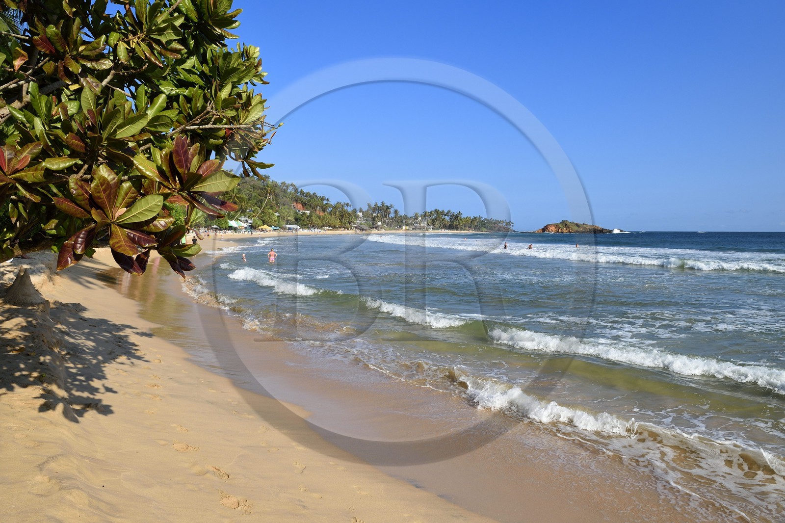 Sri Lanka, Southern Province, Matara district, Weligama, Mirissa Beach