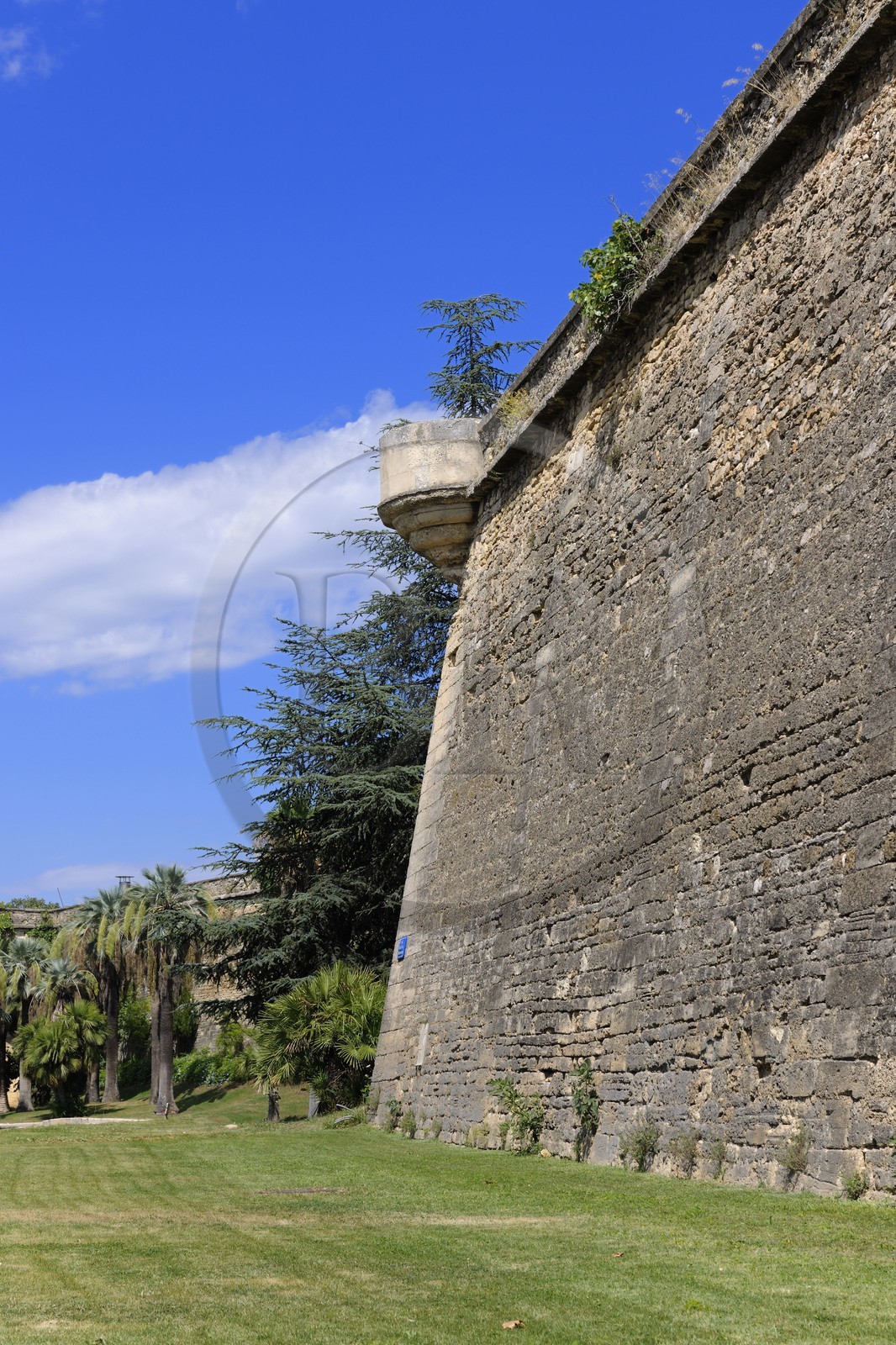 France, Herault, Montpellier, the ditches of the Citadel have been converted into gardens planted with palm