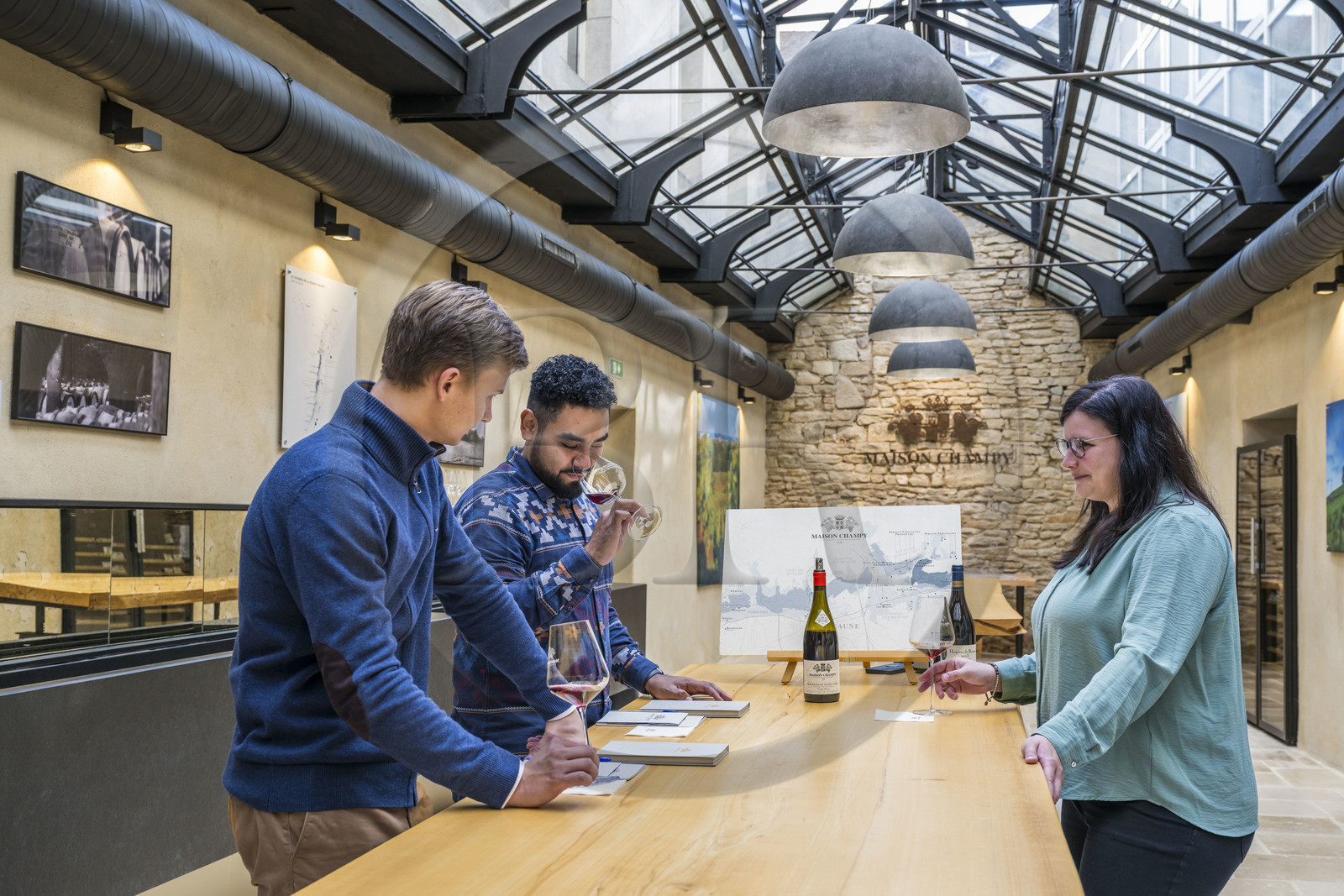 France, Côte-d'Or (21), les climats de Bourgogne classés Patrimoine Mondial de l'UNESCO, Beaune, Maison Champy, plus ancienne maison de négoce de vins de Bourgogne fondée en 1720, dégustation de grands et premiers crus en Pernand-Vergelesses  et Corton-Charlemagne sous la verrière