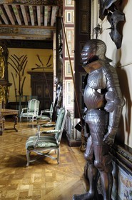 France, Loir et Cher, Chateau de Cheverny, armoury