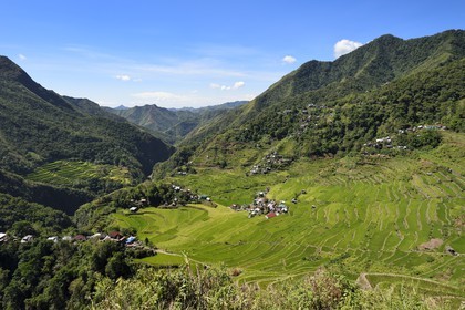 Philippines, Ifugao province, Banaue rice terraces around the village of Batad, listed as World Heritage by UNESCO, fed by an ancient irrigation system from the rainforests above the terraces