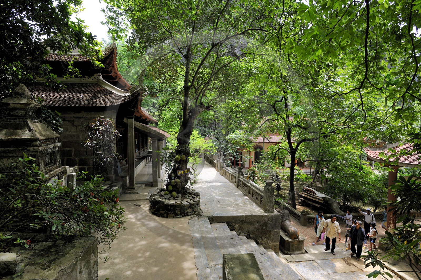 Vietnam, province de Ninh Binh, pagode partiellement troglodytique de Bich Dong, premier temple