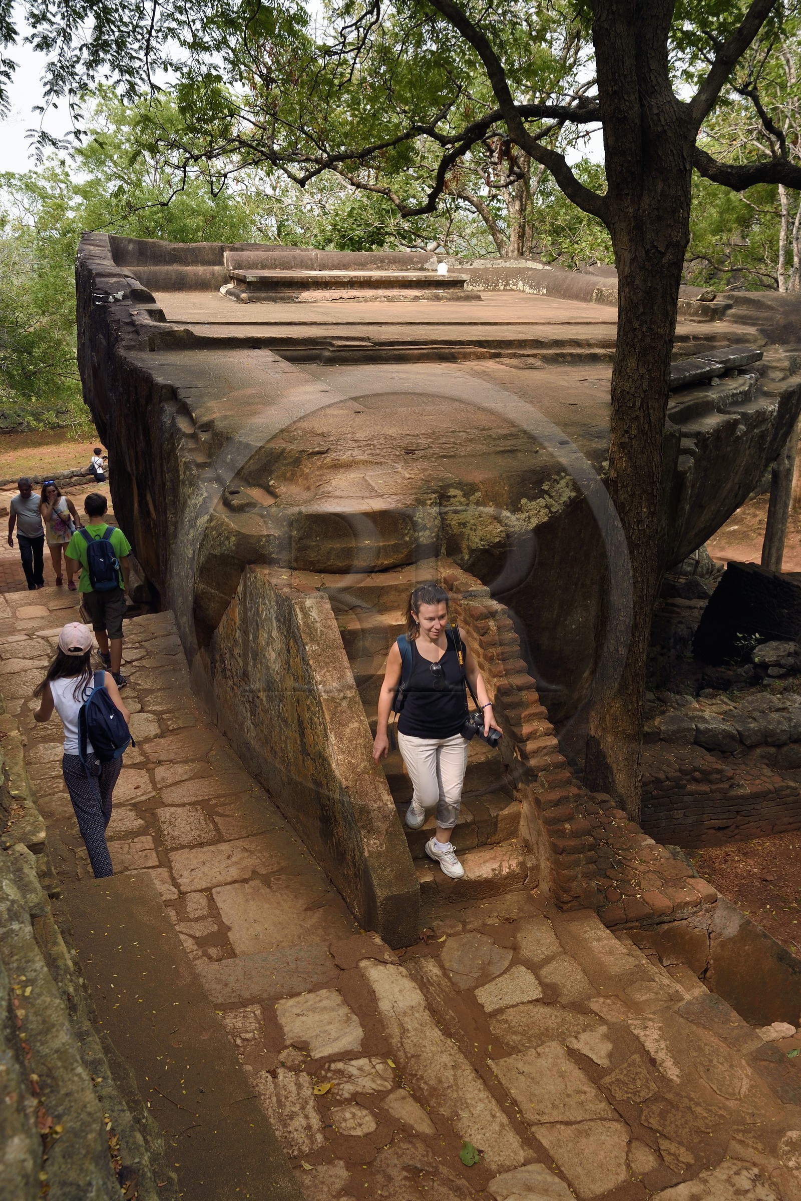 Sri Lanka, province centrale, district de Matale, Sigiriya, ville ancienne de Sigiriya classée patrimoine mondial de l'UNESCO, l'ancien palais forteresse du Rocher du Lion