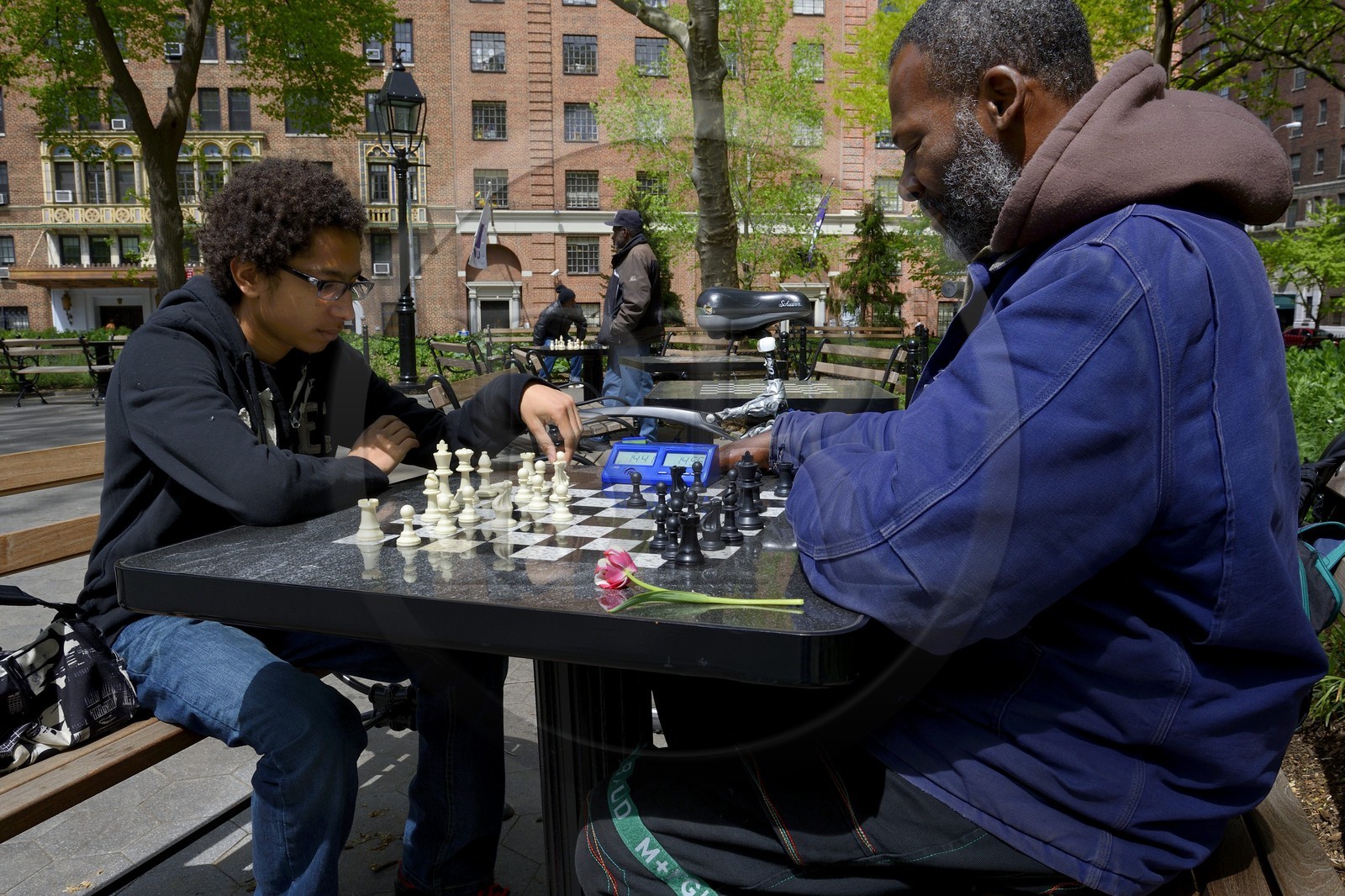 Etats-Unis, New York, Manhattan, Greenwich village, joueurs d'echecs dans le parc de Washington Square Park