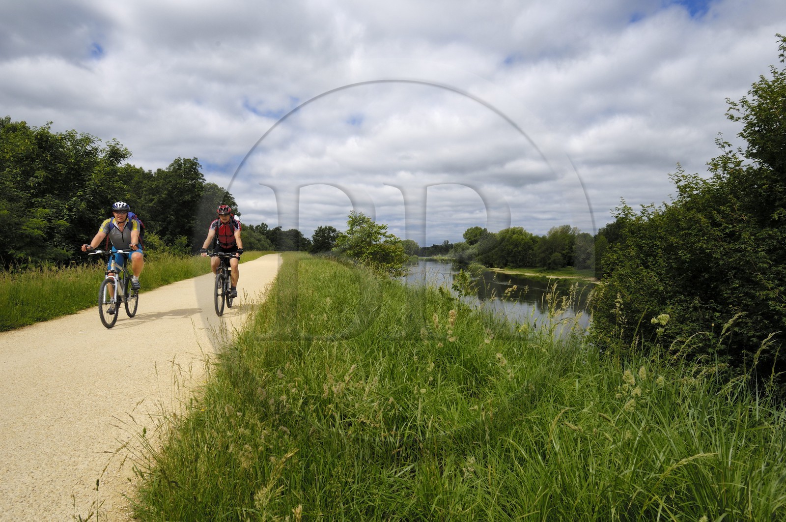 France, Indre et Loire, cycle track on Cher river banks between Savonnieres and Villandry