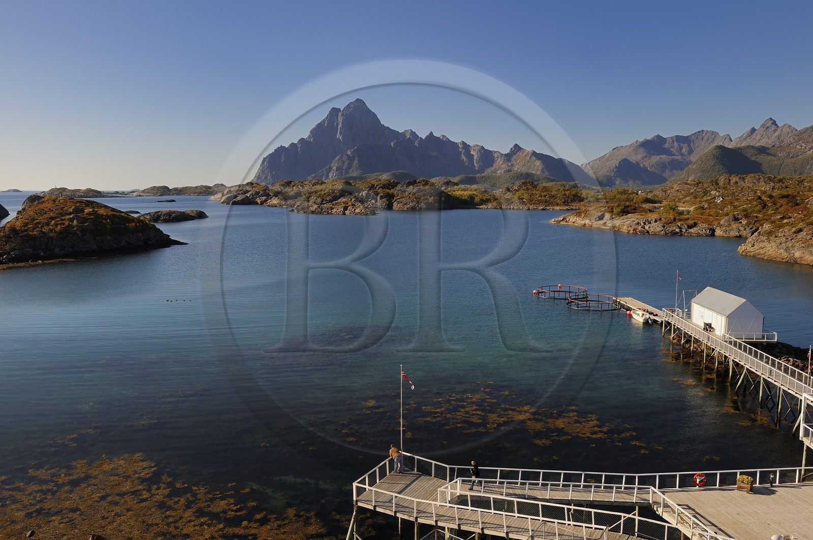Norvège, Nordland, Iles Lofoten, Kabelvag - Storvagen, aquarium des Lofoten (Lofotakvariet)