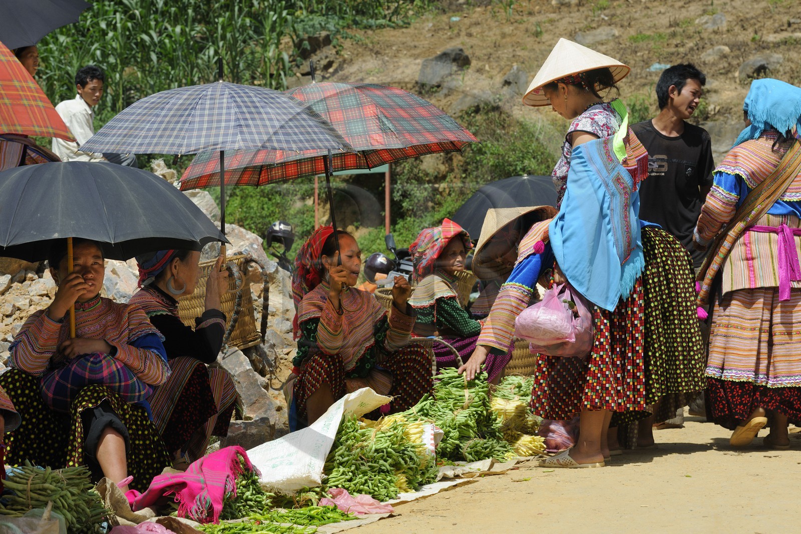 Vietnam, province de Lao Cai, région de Bac Ha, marché de Can Cau, femmes de la minorité Hmong Fleur