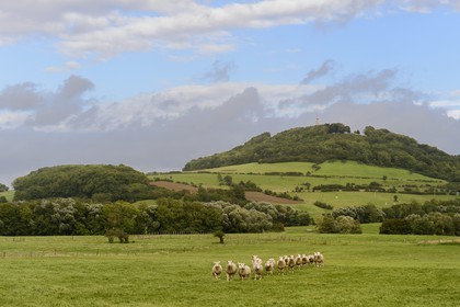 France, Meurthe-et-Moselle (54), pays du Saintois, colline de Sion-Vaudémont
