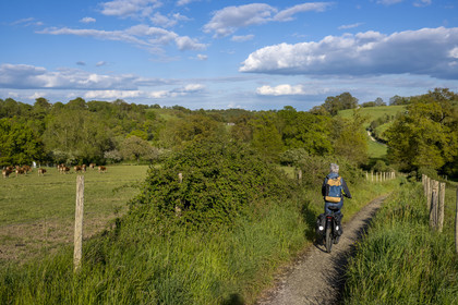 France, Vendée (85), Tiffauges, sur la piste de la véloroute Vendée Vélo Tour