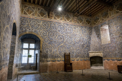 France, Vaucluse (84), Avignon, Palais des Papes classé Patrimoine mondial de l'UNESCO, la tour des Anges ou tour du pape, chambre du Pape, un espace végétal à deux dimensions fait de rinceaux de vigne et de chêne, parsemés d’oiseaux et d’écureuils, orne les murs sur un fond bleu ciel
