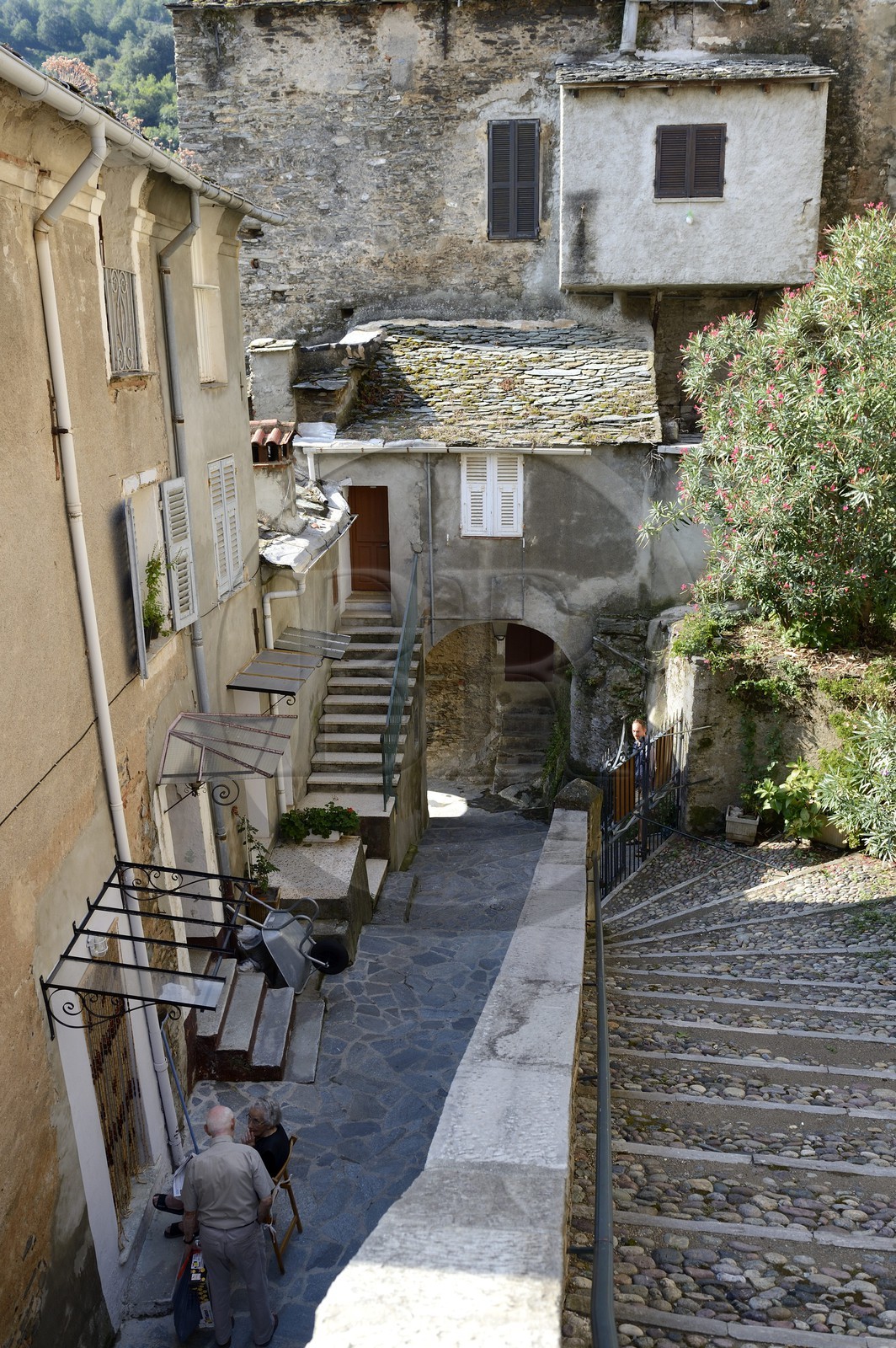 France, Haute-Corse (2B), région de la Casinca en Castagniccia, village peché de Vescovato