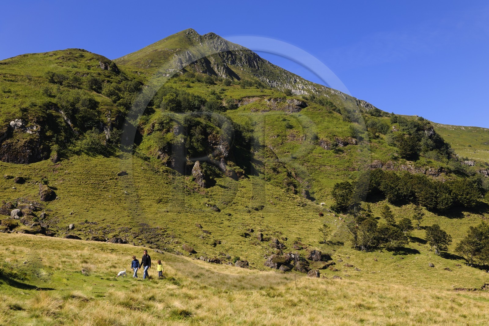 France, Cantal, France, Cantal, monts du Cantal, Parc Naturel Régional des Volcans d'Auvergne (regional nature park of Auvergne volcanoes), hiking at the bottom of the Puy-Mary mount (1783m)