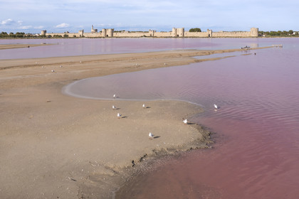 France, Gard (30), Aigues-Mortes, la ville médiévale entourée par ses remparts en bordure des marais salants (Salins du Midi) (vue aérienne)
