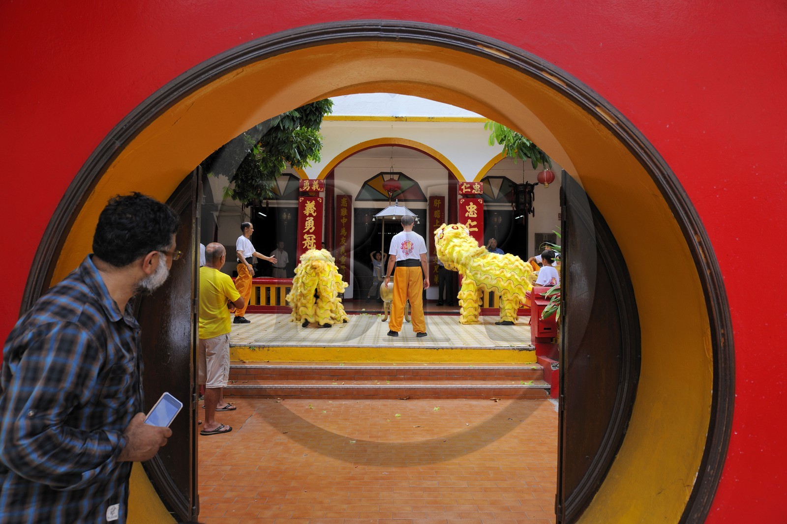 France, Reunion island (French overseas department), Saint-Pierre, traditional dragon danse for the chinese new year celebrations in a temple