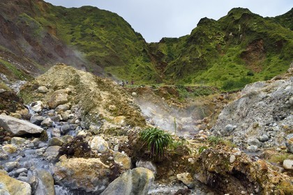 Caraïbes, Ile de la Dominique, Castle Bruce, Parc national du Morne Trois Pitons classé Patrimoine Mondial de l'UNESCO, la Vallée de la Désolation, randonnée sur le sentier menant au Boiling Lake