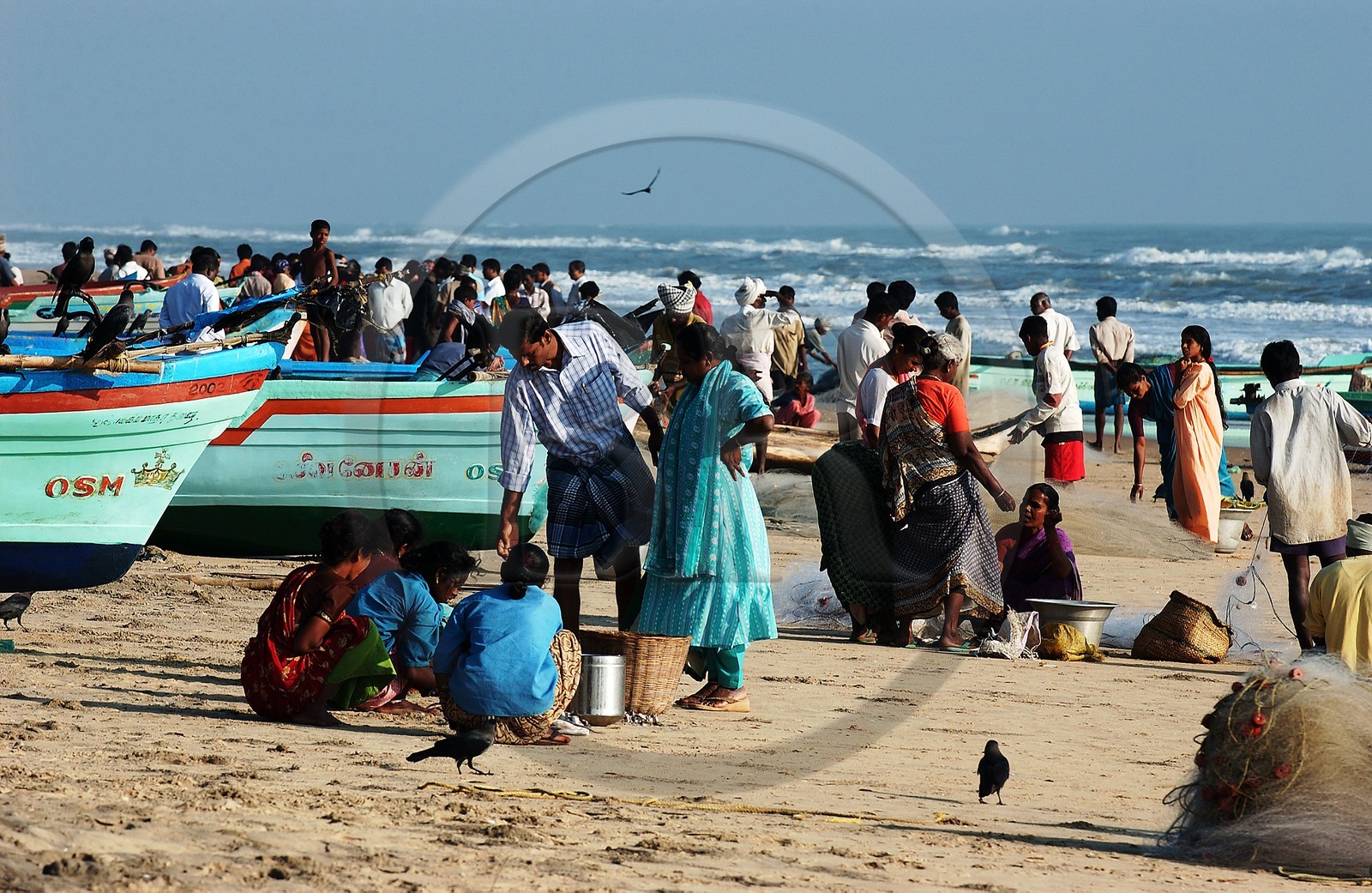 Inde, Etat du Tamil Nadu, pêcheurs et marché sur la plage de Velanganni