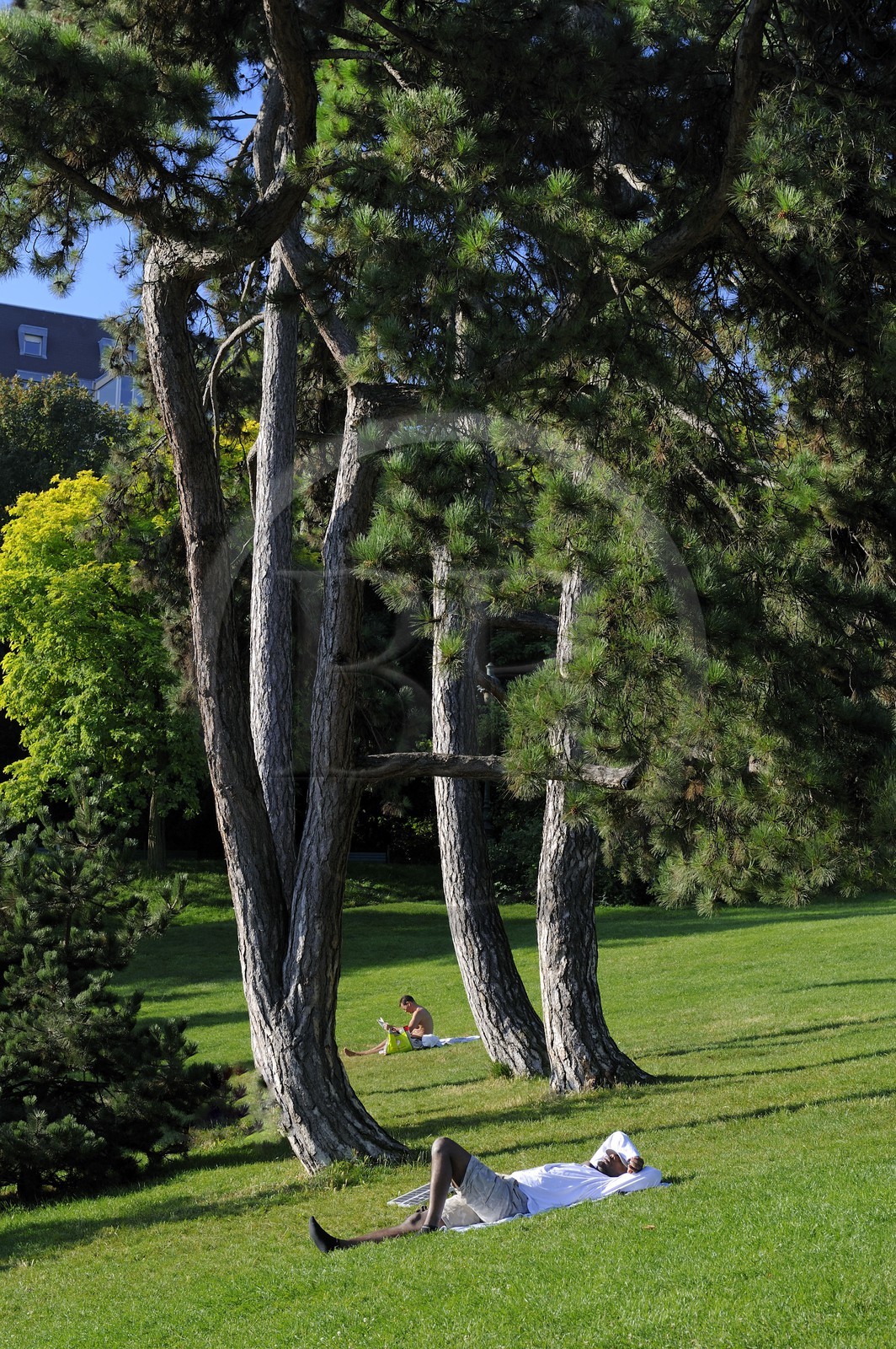 France, Paris (75), parc des Buttes Chaumont