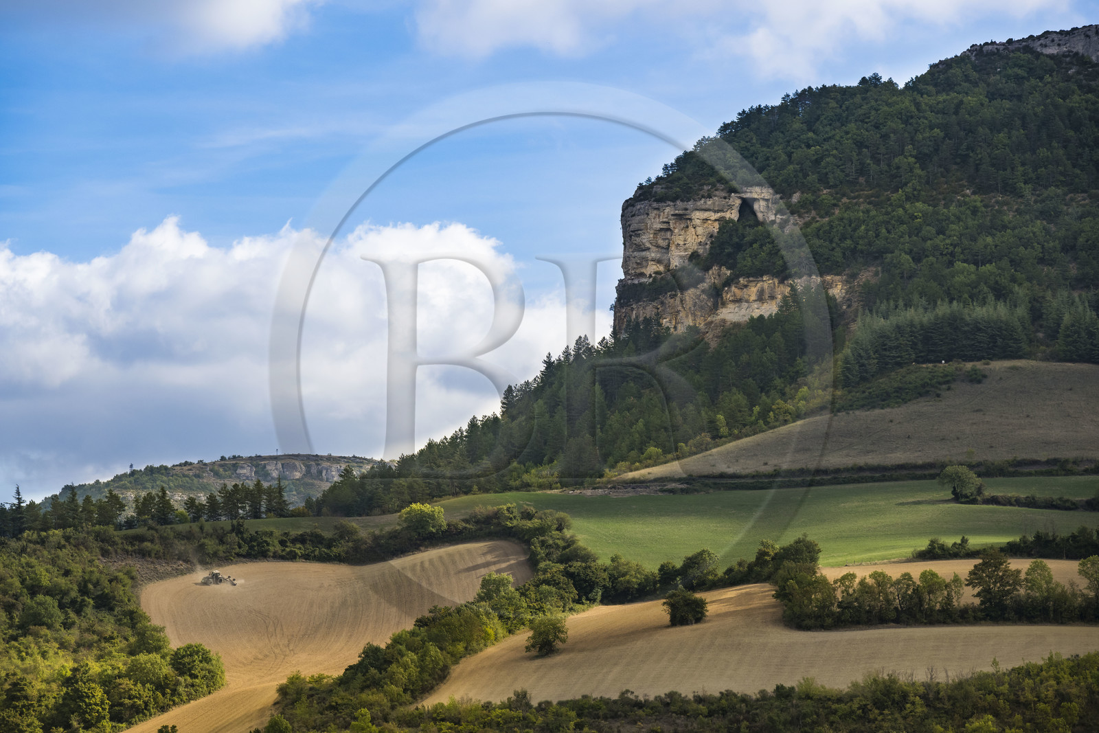 France, Aveyron, Grands-Causses Regional Nature Park, Roquefort sur Soulzon, the rock of Combalou sheltering the fleurines of the cellars of Roquefort