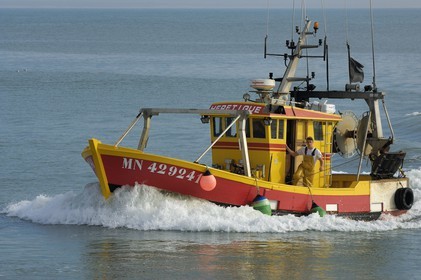 France, Charente-Maritime (17), Ile d'Oléron, retour de pêche au port de la Cotinière