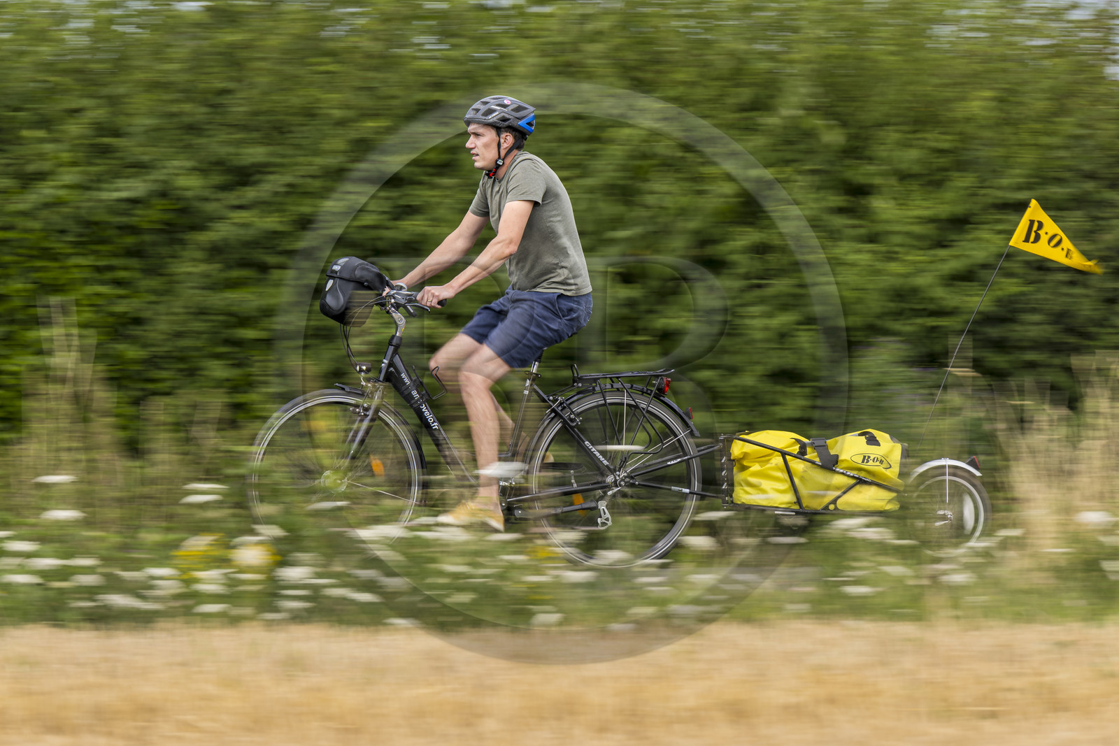 France, Maine-et-Loire (49), vallée de la Loire classée au Patrimoine Mondial par l'UNESCO, Saumur vers Saint-Hilaire, randonnée à bicyclette avec une remorque transportant le matériel de camping