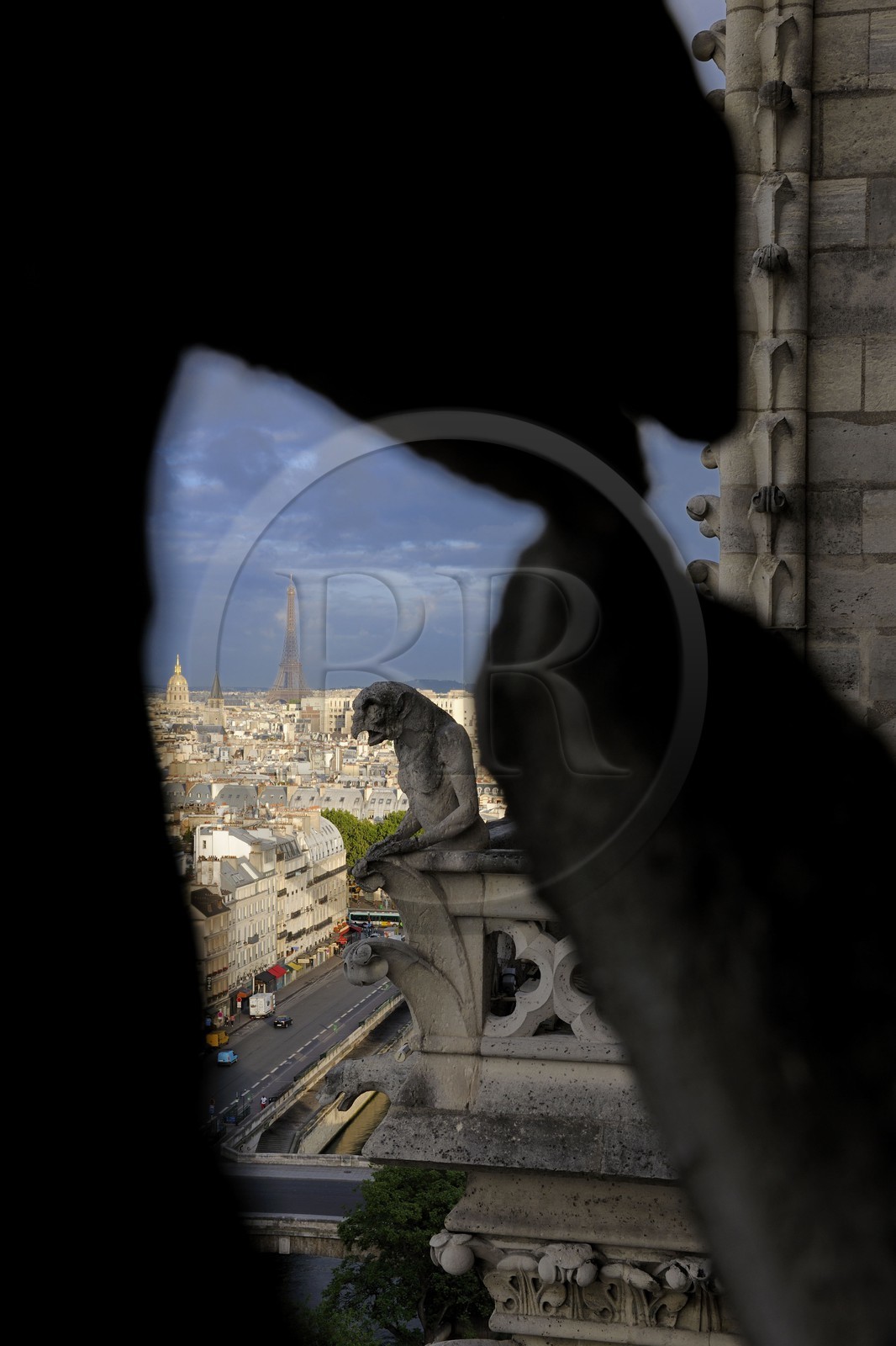 France, Paris (75), les rives de la Seine classées Patrimoine Mondial de l'UNESCO, île de la Cité, la cathédrale Notre-Dame, les chimères de la Tour Sud observent la ville