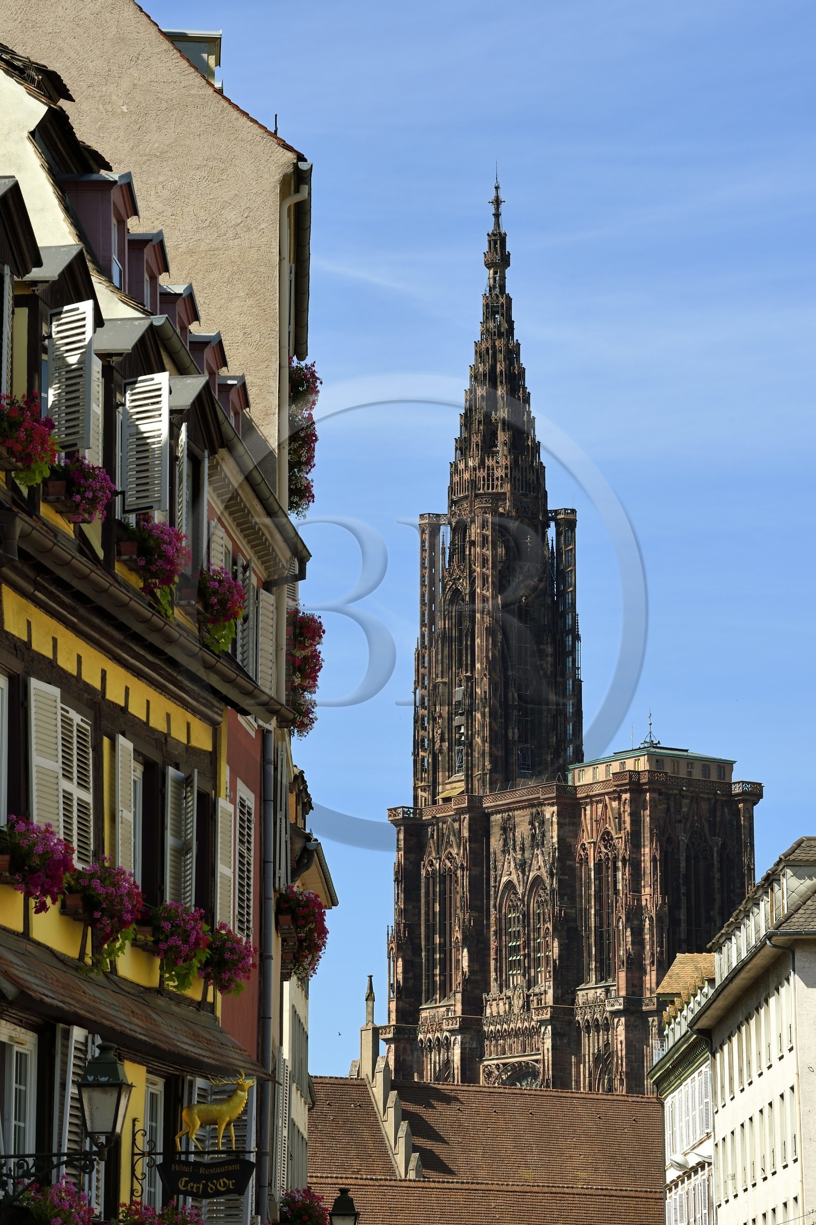 France, Bas-Rhin (67), Strasbourg, vieille ville classée au Patrimoine Mondial de l'UNESCO, la cathédrale Notre-Dame