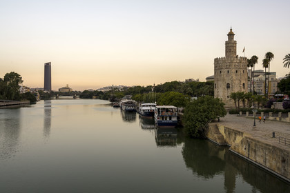 Espagne, Andalousie, Séville, en bordure du fleuve Guadalquivir, la Tour de l'Or (Torre del Oro), ancienne tour d'observation militaire construite au début du XIIIe siècle reconvertie en musée maritime