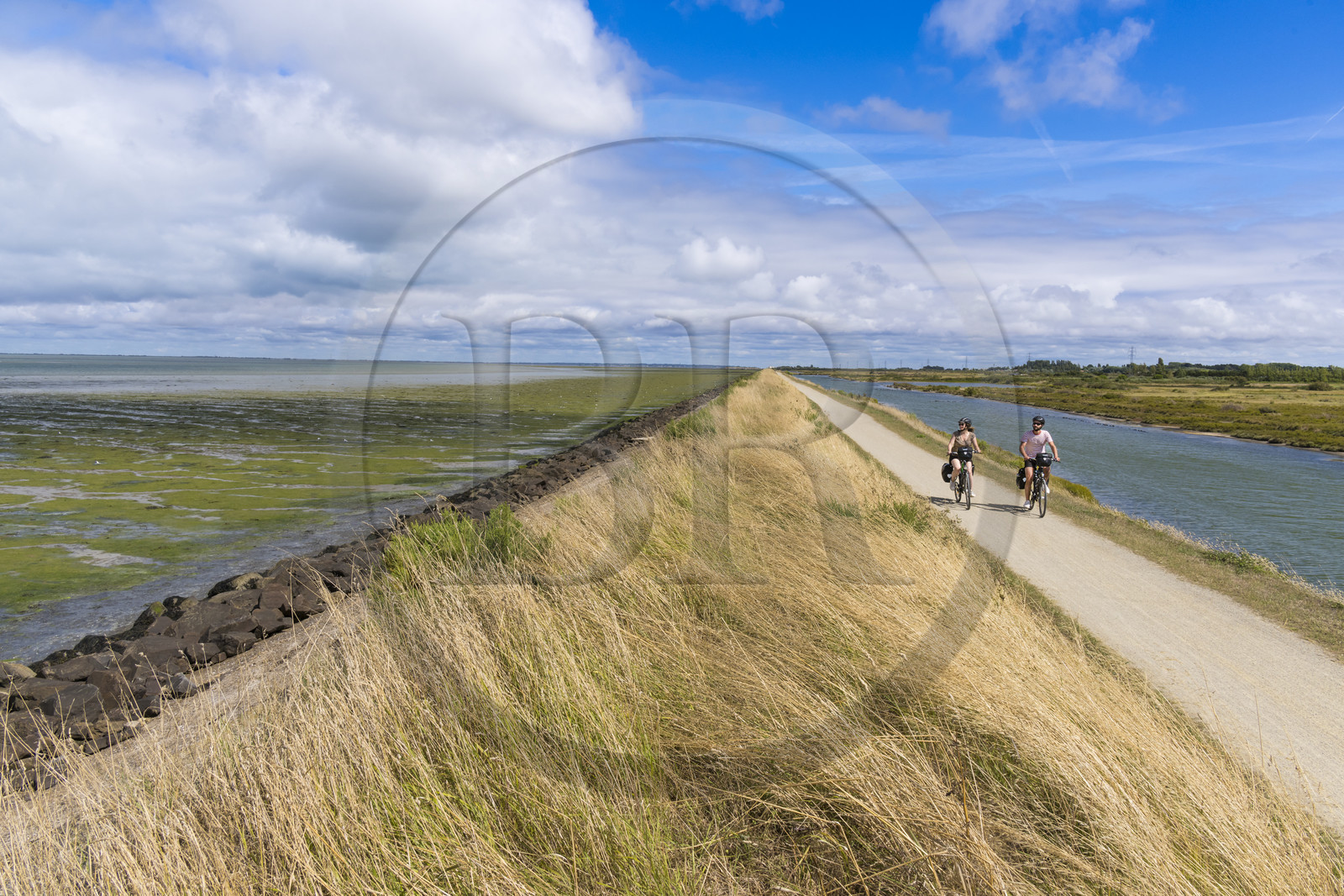 France, Vendée (85), île de Noirmoutier, La Guérinière, cyclistes sur la piste cyclable qui suit la digue entre le Port de Bonhomme et le passage du Gois