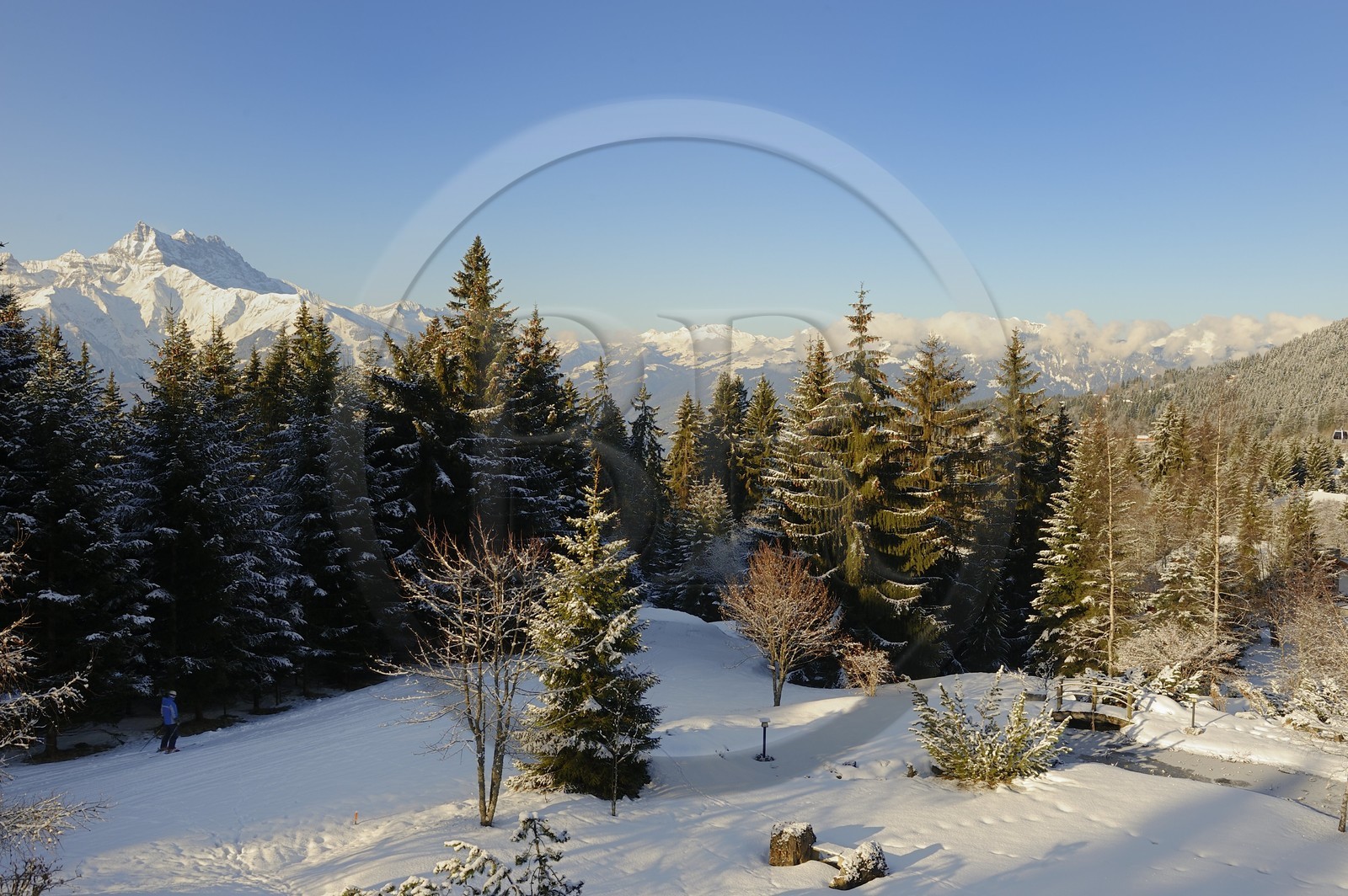 Suisse, Canton de Vaud, Villars sur Ollon