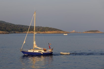 France, Var (83), Iles d'Hyères, parc national de Port-Cros, île de Porquerolles
