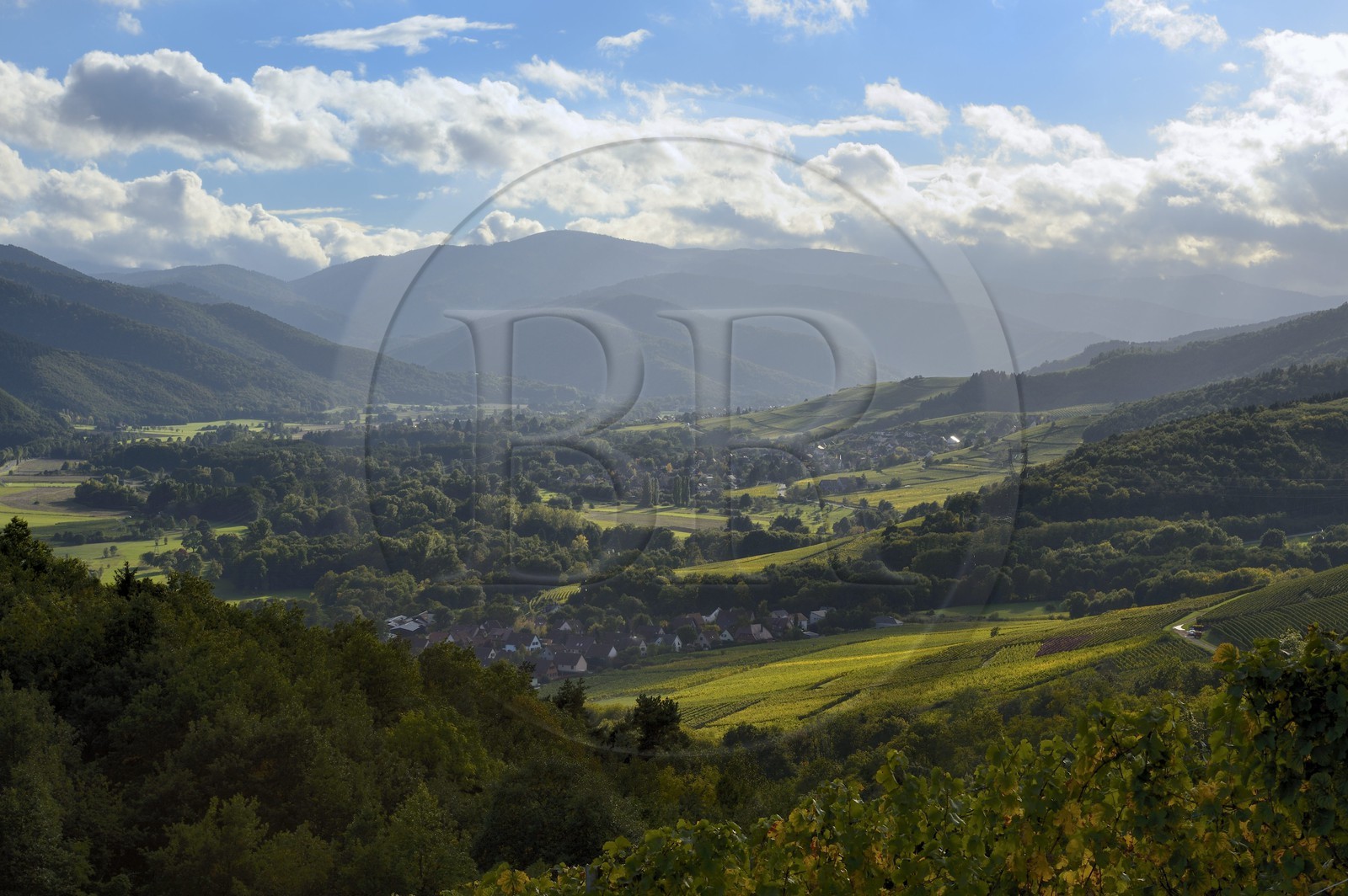 France, Haut-Rhin (68), Route des Vins d'Alsace, Zimmerbach, l'entrée de la vallée de Munster