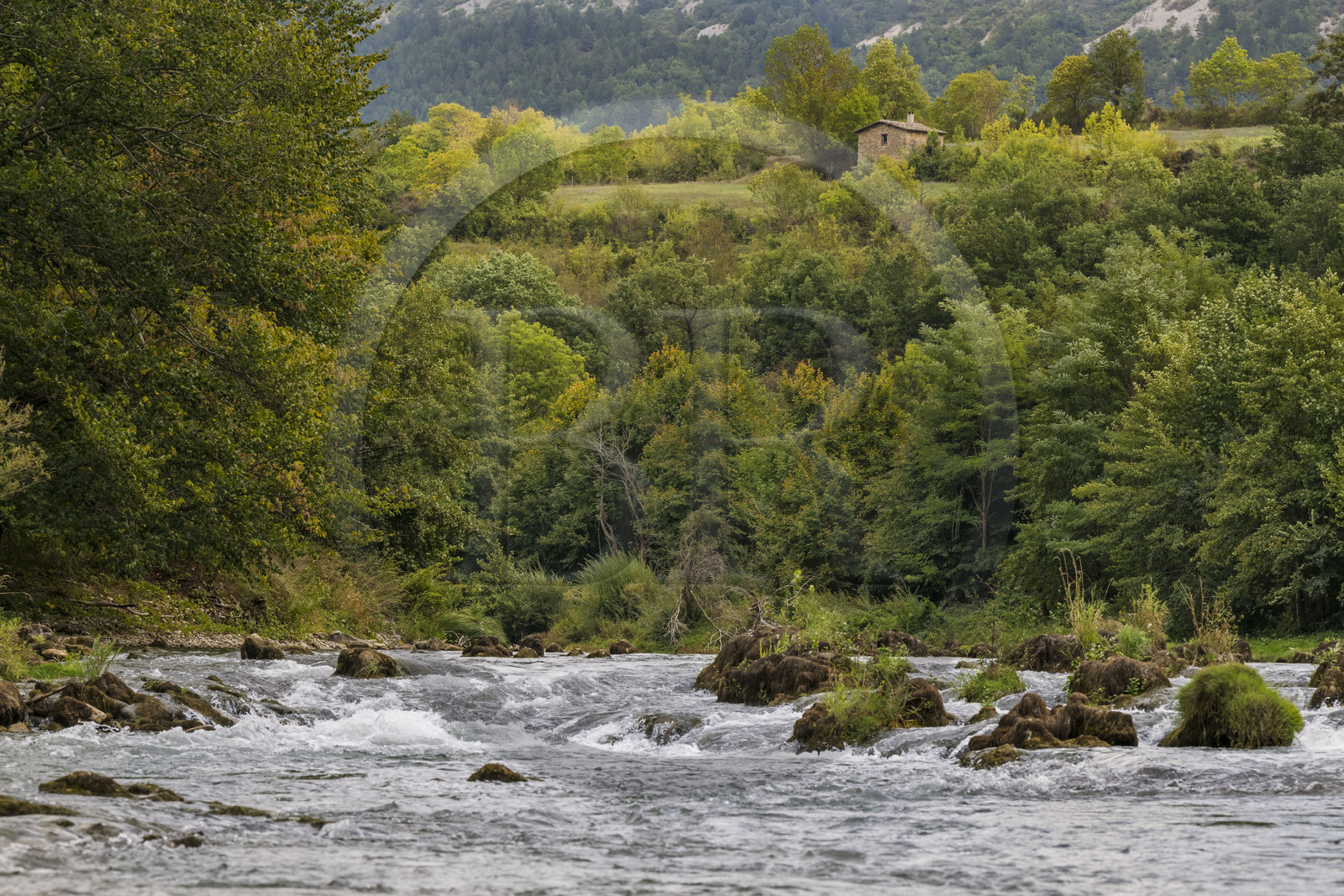 France, Aveyron (12), parc naturel régional des Grands Causses, Millau, berges du Tarn