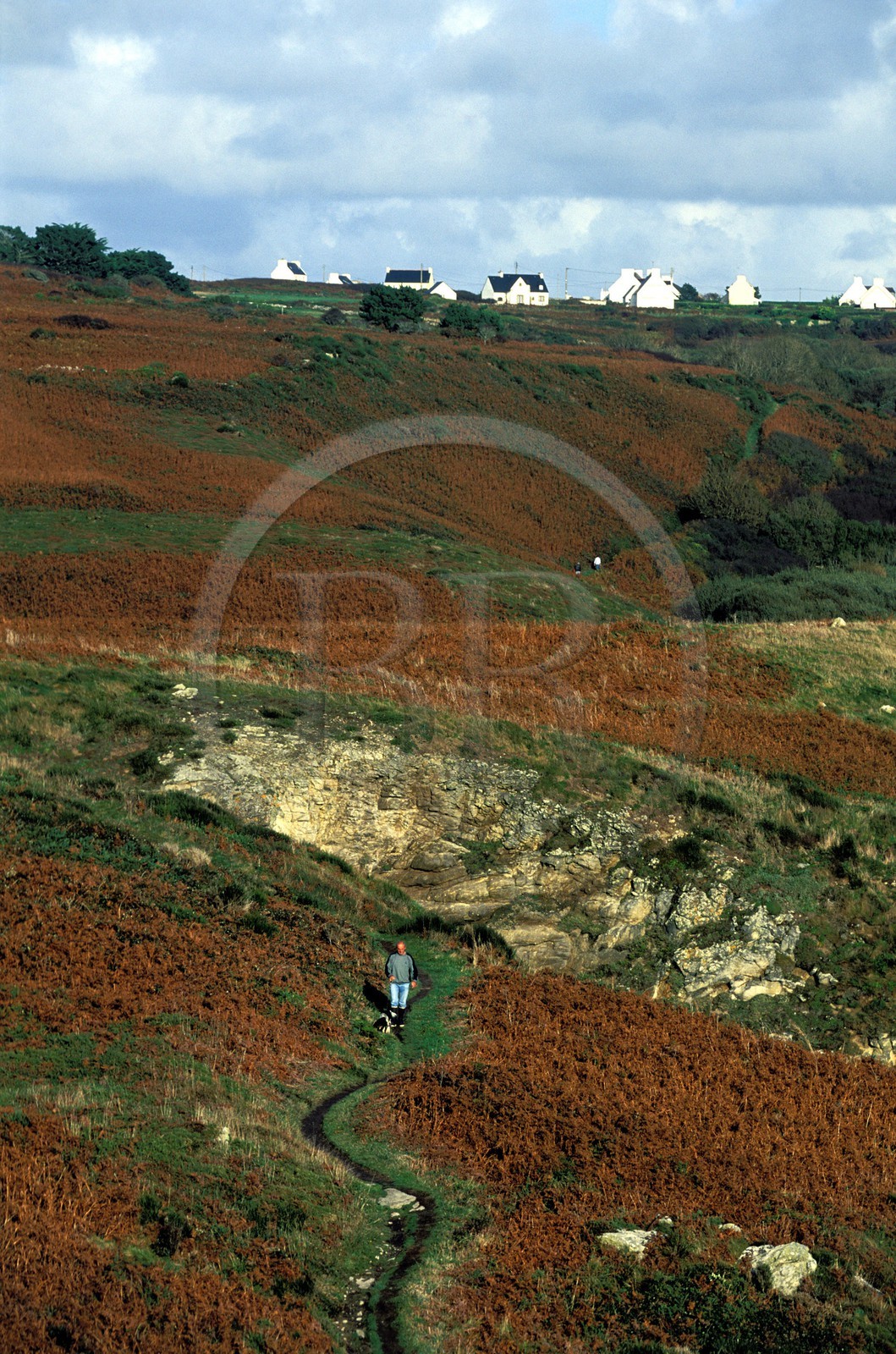 France, Finistere, Pointe du Raz (headland) towards Bestrees harbour and Lescoff village
