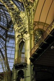 France, Paris, Grand Palais, the glass-roof