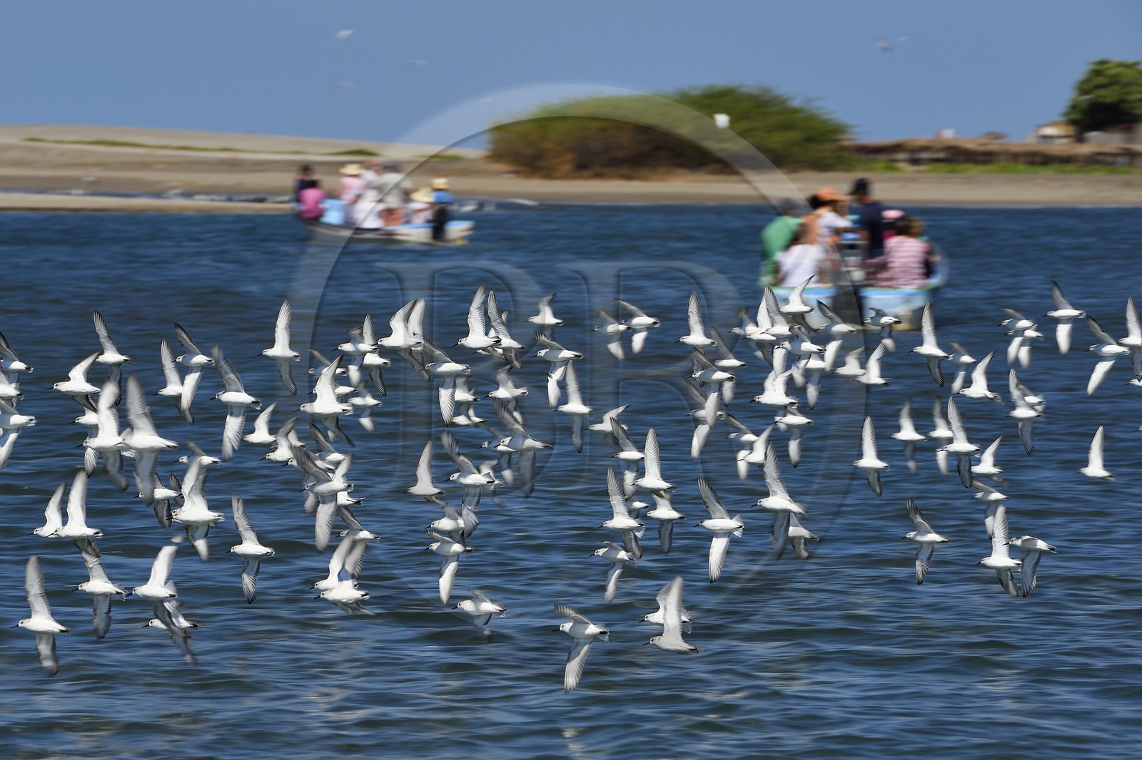 Nicaragua, la côte pacifique de Leon, parc national Isla Juan Venado, plage de Las Penitas