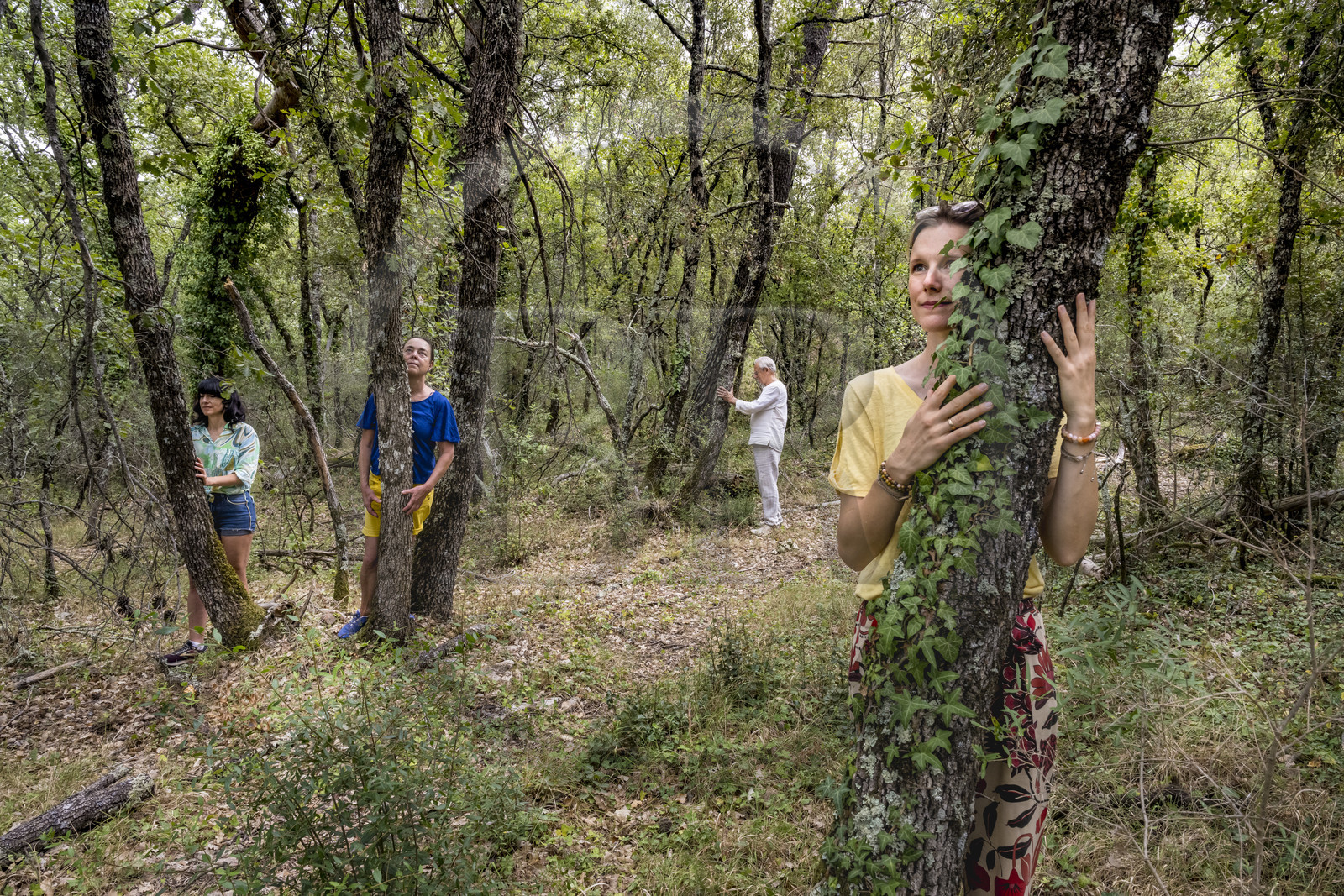 France, Var (83), Provence Verte, Bras, Académie du Bain de Forêt Provençale, forêt du domaine Le Peyrourier - une campagne en Provence, Constanze Coisne guide le Shinrin Yoku