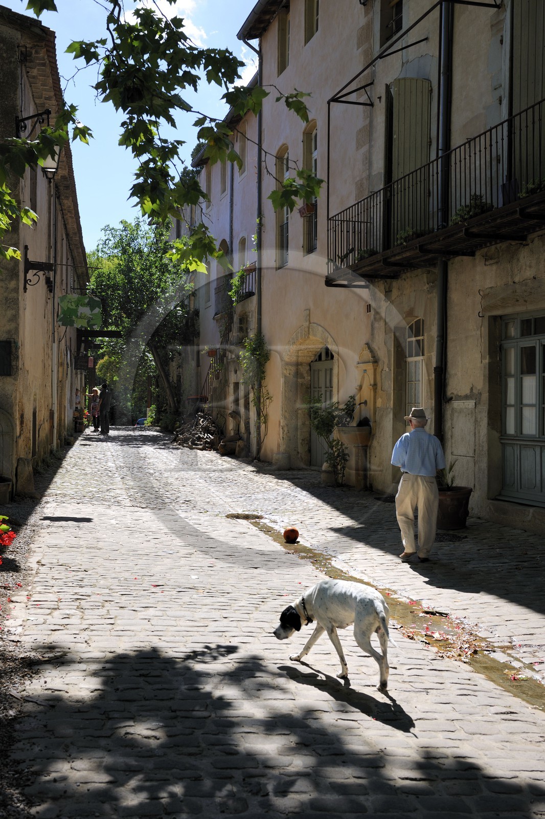 France, Herault, Villeneuvette, former Royal factory, the main street and its 17th century buildings