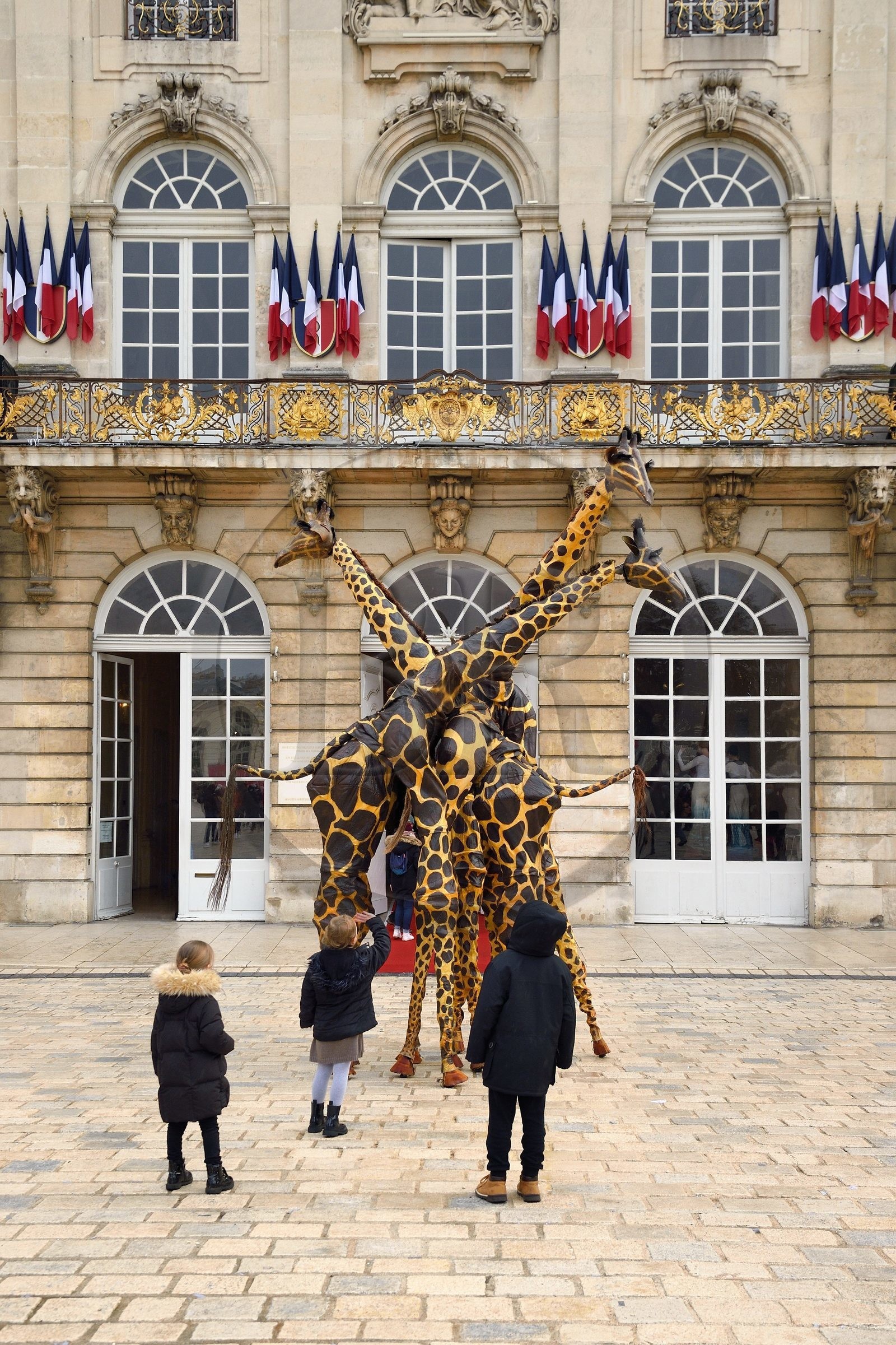 France, Meurthe-et-Moselle (54), Nancy, place Stanislas (ancienne Place Royale) lors de la fête de la Saint-Nicolas, classée Patrimoine Mondial de l'UNESCO, girafes de la compagnie Teatro Pavana