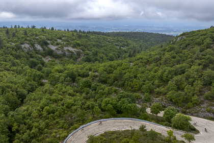 France, Vaucluse, Parc Naturel Regional du Mont Ventoux, Bedoin, bike ascent of Mont Ventoux by the D974 road on the southern slope, road through a thick oak forest  (aerial view)