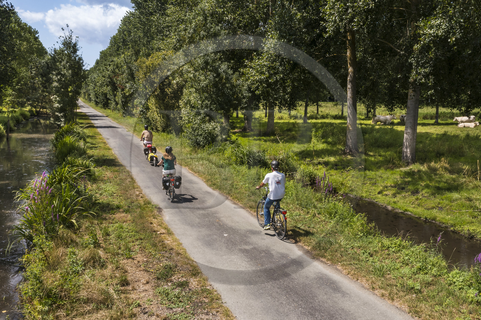 France, Deux-Sèvres (79), le Marais Poitevin, la Venise Verte, Sansais, randonnée à bicyclette le long de la Sèvre Niortaise sur la voie cyclable de la Vélo Francette (vue aérienne)