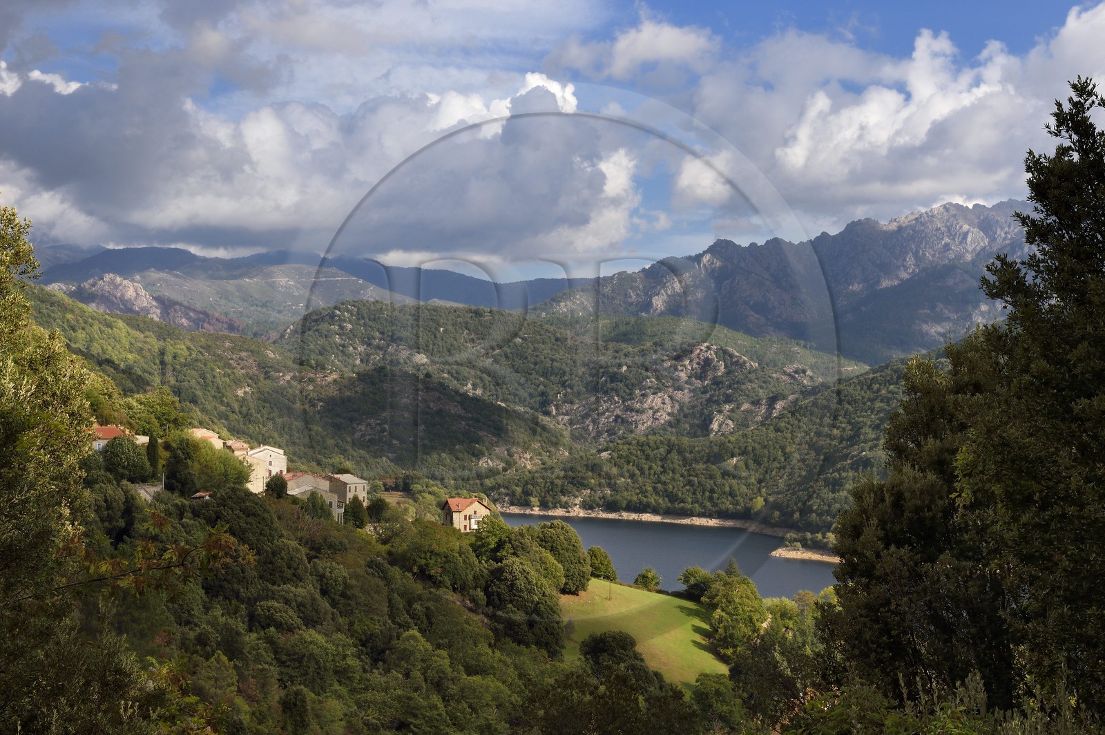 France, Corse du Sud, Prunelli river valley,  the village of Tolla at the edge of the artificial lake of Tolla