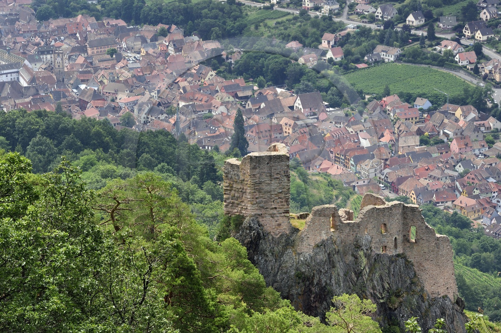 France, Haut Rhin, the Alsace Wine Route, Ribeauville, Girsberg Castle and Ribeauville in the background