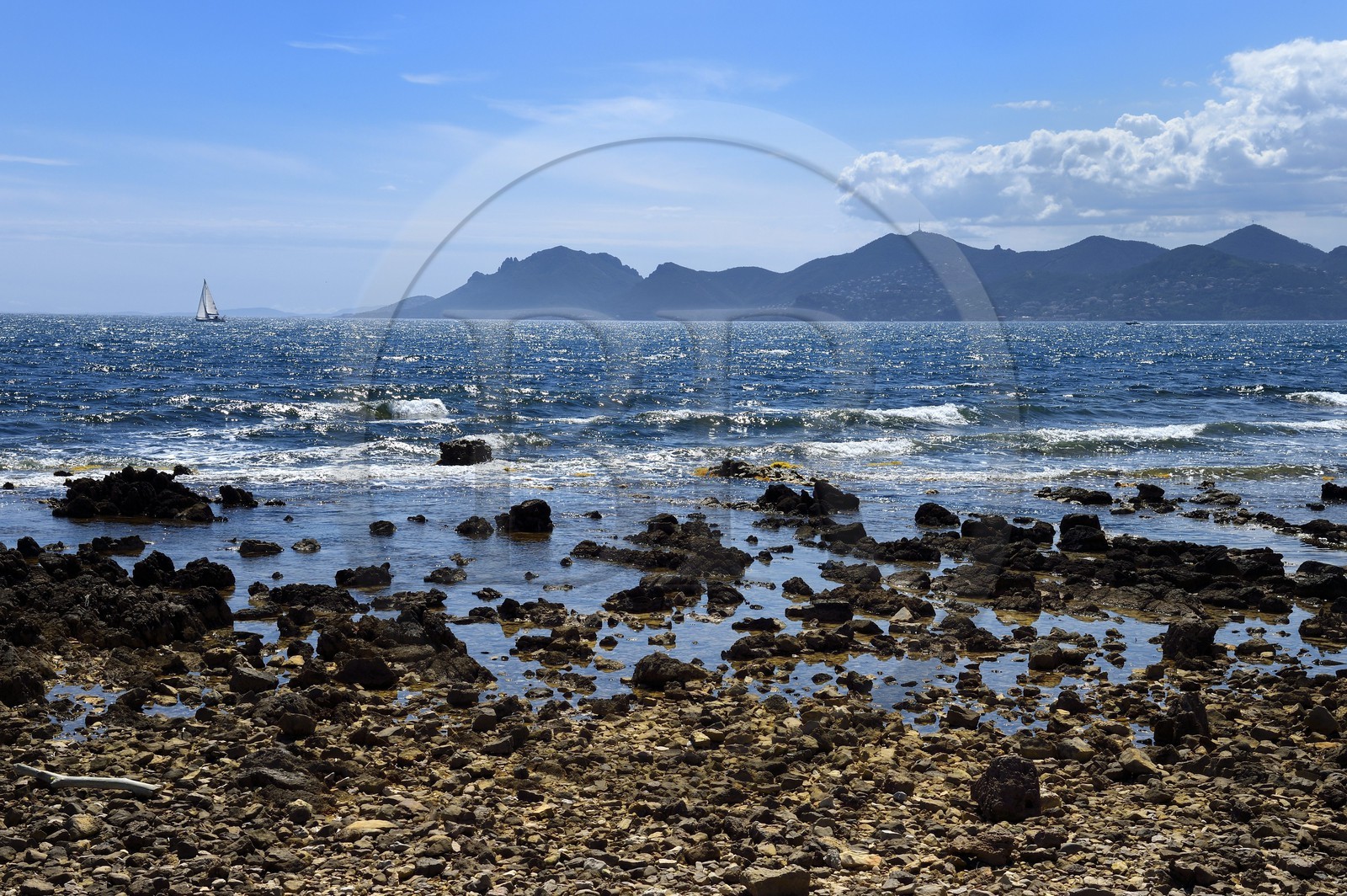 France, Alpes-Maritimes (06), Cannes, Iles de Lérins, voilier au large de l'Ile Sainte-Marguerite et le massif de l'Esterel en arrière plan