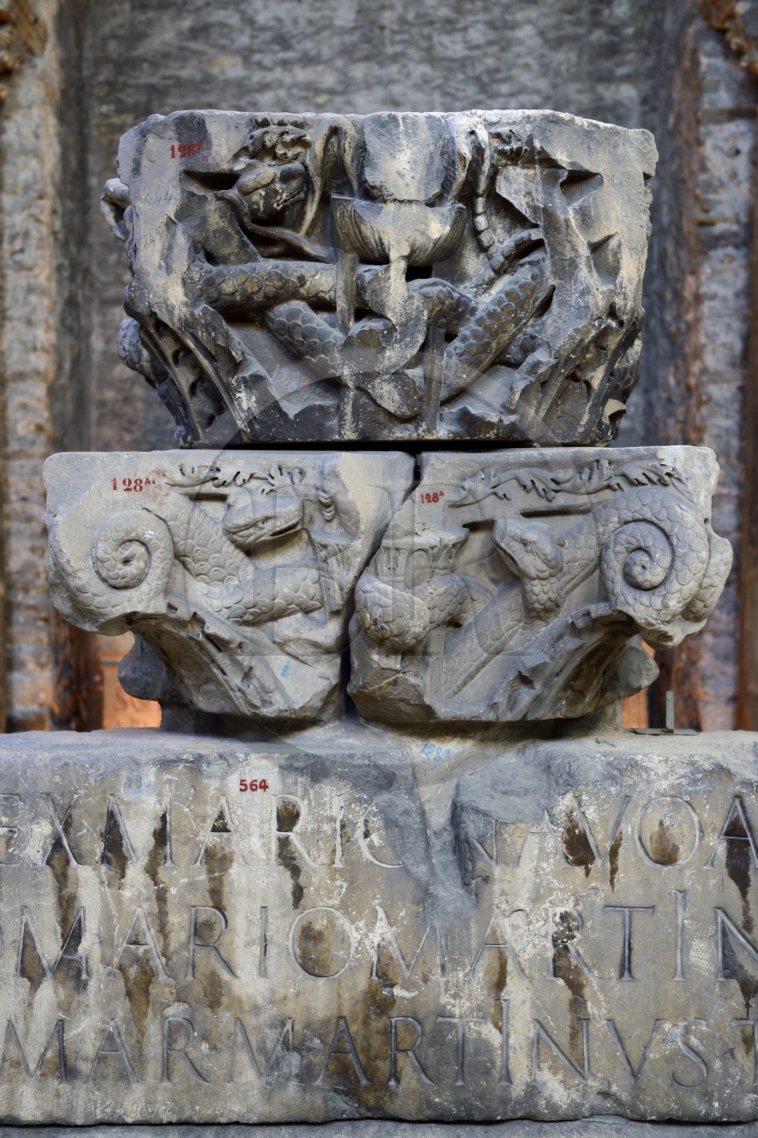 France, Isère (38), Vienne, musée lapidaire dans l'église Saint-Pierre, chapiteaux en hommage à Appolon
